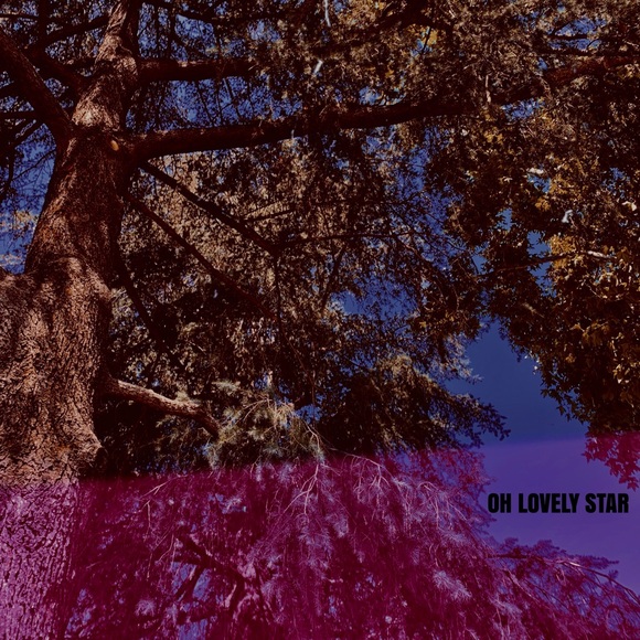 Lovely Star * Photography Art Print Wall Decal - Picture 3 of 5